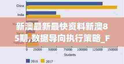 新澳最新最快资料新澳85期,数据导向执行策略_FT30.921