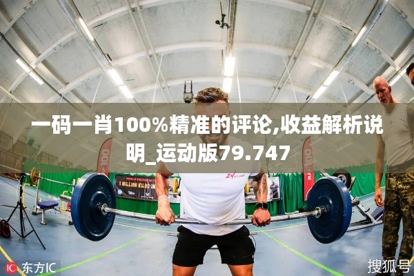 一码一肖100%精准的评论,收益解析说明_运动版79.747