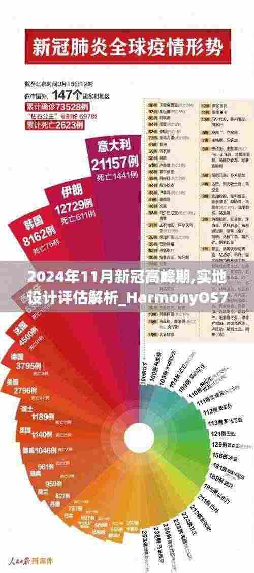 2024年11月新冠高峰期,实地设计评估解析_HarmonyOS74.563