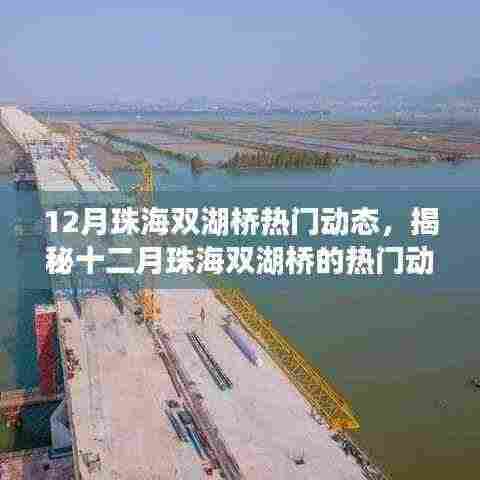 揭秘十二月珠海双湖桥的热门动态与最新进展