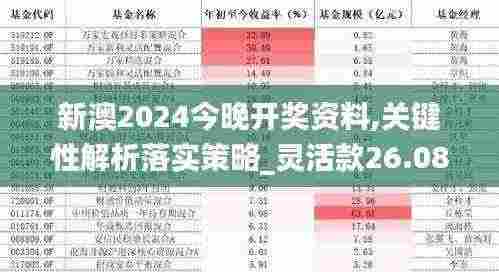新澳2024今晚开奖资料,关键性解析落实策略_灵活款26.08