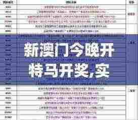 新澳门今晚开特马开奖,实践分析解释定义_Holo73.112
