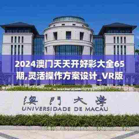 2024澳门天天开好彩大全65期,灵活操作方案设计_VR版54.757