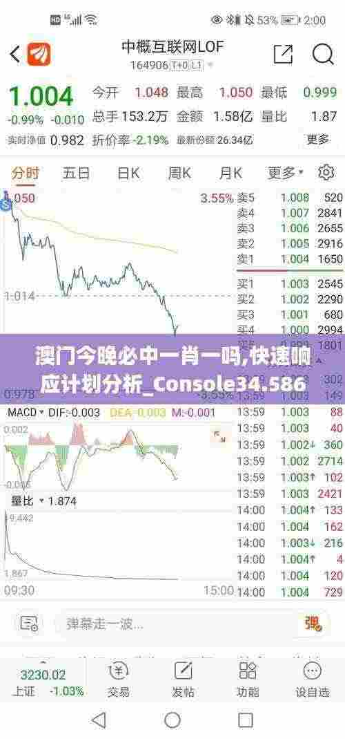 澳门今晚必中一肖一吗,快速响应计划分析_Console34.586