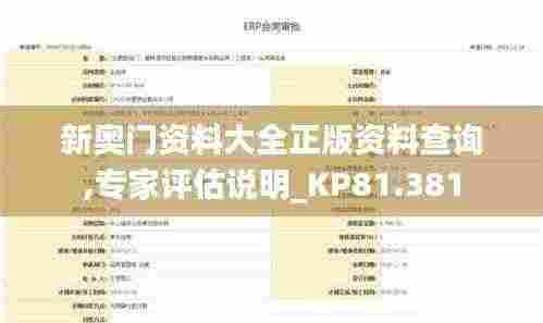新奥门资料大全正版资料查询,专家评估说明_KP81.381