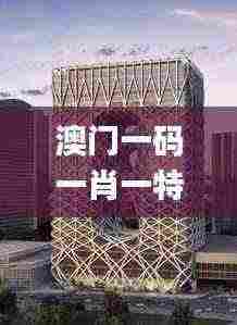 澳门一码一肖一特一中是公开的吗,实地说明解析研究_极致款93.203