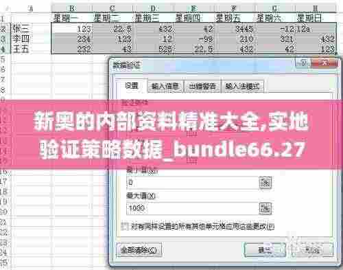 新奥的内部资料精准大全,实地验证策略数据_bundle66.279