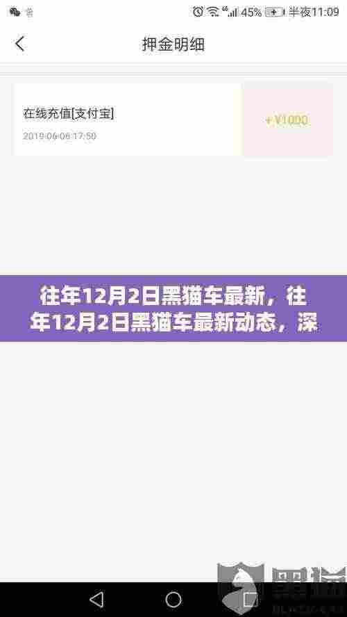 深度解析与观点阐述，往年12月2日黑猫车最新动态及趋势展望