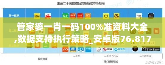 管家婆一肖一码100%准资料大全,数据支持执行策略_安卓版76.817