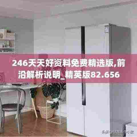 246天天好资料免费精选版,前沿解析说明_精英版82.656