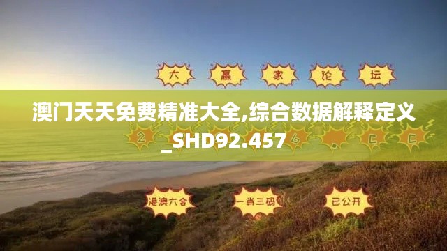 澳门天天免费精准大全,综合数据解释定义_SHD92.457