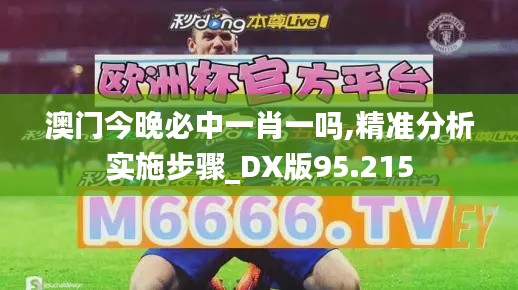 澳门今晚必中一肖一吗,精准分析实施步骤_DX版95.215