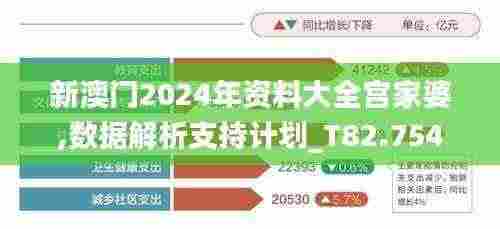 新澳门2024年资料大全宫家婆,数据解析支持计划_T82.754