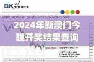 2024年新澳门今晚开奖结果查询,实地评估策略_X版29.506