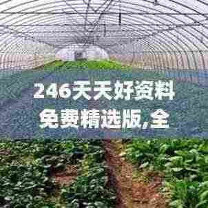 246天天好资料免费精选版,全面设计执行数据_视频版28.693