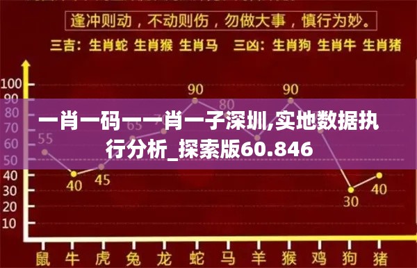 一肖一码一一肖一子深圳,实地数据执行分析_探索版60.846