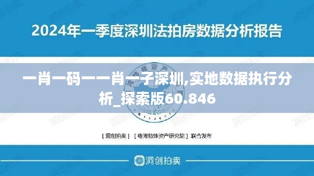 一肖一码一一肖一子深圳,实地数据执行分析_探索版60.846