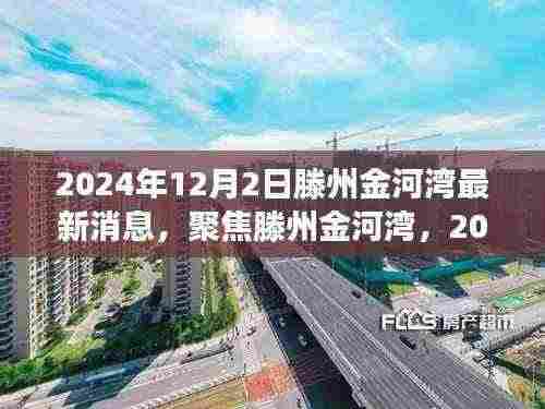 2024年12月2日滕州金河湾最新动态解读与聚焦