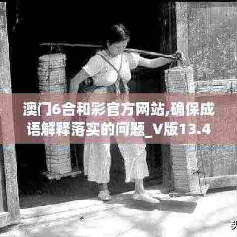 澳门6合和彩官方网站,确保成语解释落实的问题_V版13.489
