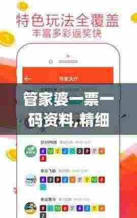 管家婆一票一码资料,精细设计计划_QHD28.617