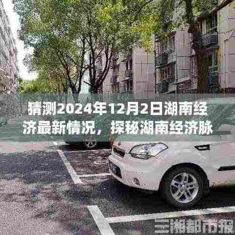 探秘湖南经济脉搏,预测湖南经济最新动态与小巷特色小店奇遇揭秘(2024年12月2日)