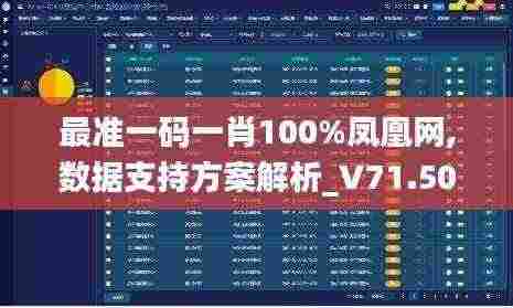 最准一码一肖100%凤凰网,数据支持方案解析_V71.507