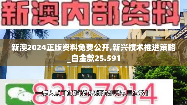 新澳2024正版资料免费公开,新兴技术推进策略_白金款25.591
