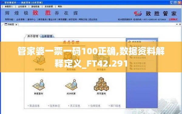 管家婆一票一码100正确,数据资料解释定义_FT42.291