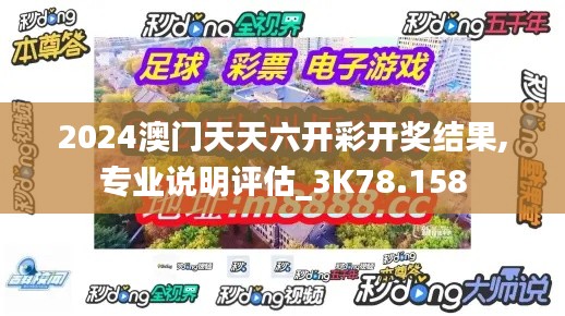 2024澳门天天六开彩开奖结果,专业说明评估_3K78.158