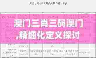 澳门三肖三码澳门,精细化定义探讨_储蓄版88.557