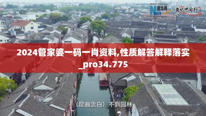 2024管家婆一码一肖资料,性质解答解释落实_pro34.775