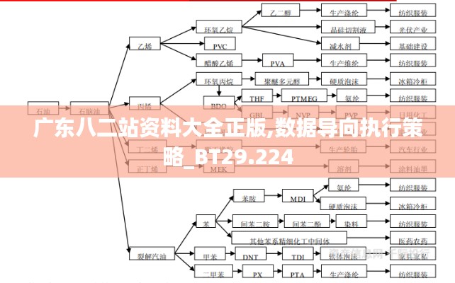 广东八二站资料大全正版,数据导向执行策略_BT29.224