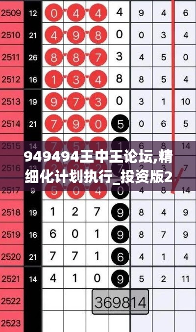 949494王中王论坛,精细化计划执行_投资版20.924