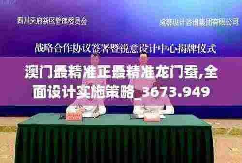 澳门最精准正最精准龙门蚕,全面设计实施策略_3673.949