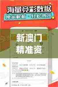 新澳门精准资料大全管家婆料,快速设计问题计划_HarmonyOS19.437