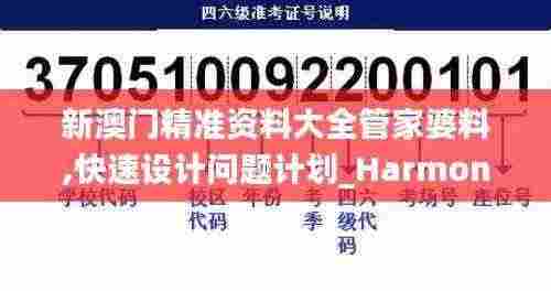 新澳门精准资料大全管家婆料,快速设计问题计划_HarmonyOS19.437