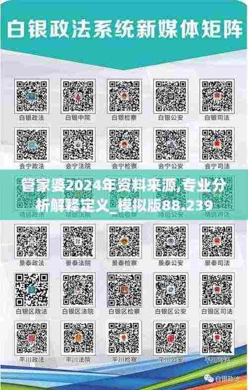 管家婆2024年资料来源,专业分析解释定义_模拟版88.239