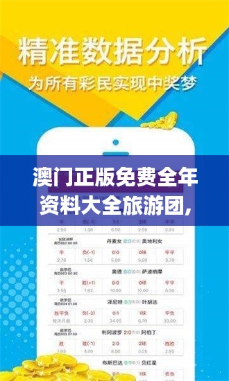 澳门正版免费全年资料大全旅游团,精确执行解释落实_4K集60.376