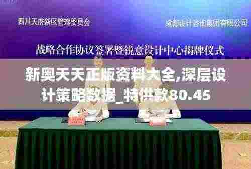 新奥天天正版资料大全,深层设计策略数据_特供款80.45