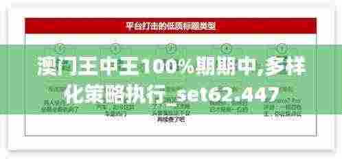 澳门王中王100%期期中,多样化策略执行_set62.447