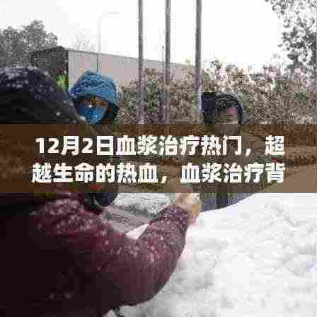 超越生命的热血,血浆治疗背后的励志故事与力量之源