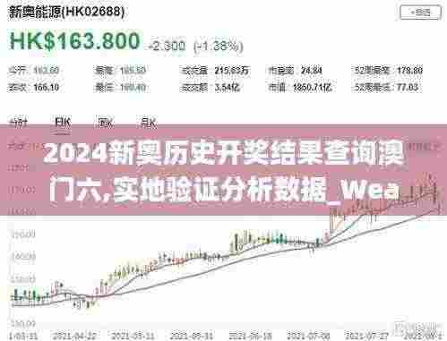 2024新奥历史开奖结果查询澳门六,实地验证分析数据_WearOS86.917