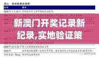 新澳门开奖记录新纪录,实地验证策略_云端版43.67