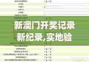 新澳门开奖记录新纪录,实地验证策略_云端版43.67