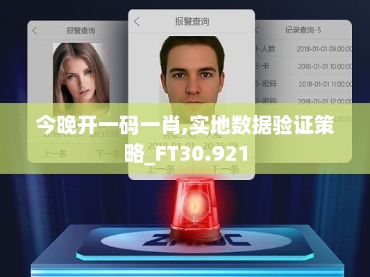 今晚开一码一肖,实地数据验证策略_FT30.921