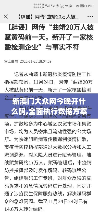 新澳门大众网今晚开什么码,全面执行数据方案_Z83.284