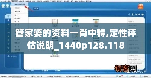 管家婆的资料一肖中特,定性评估说明_1440p128.118