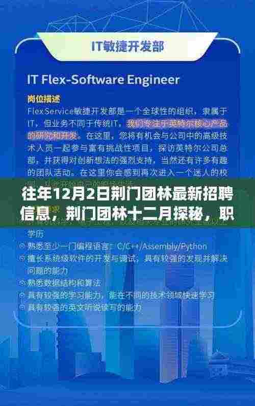 荆门团林最新招聘动态与职场自然融合之旅,十二月探秘之旅