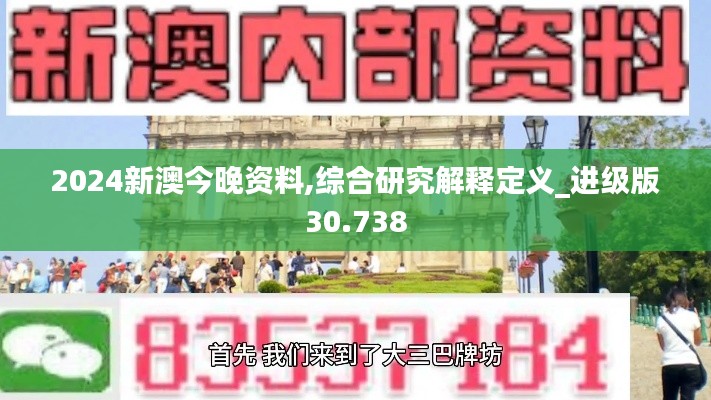 2024新澳今晚资料,综合研究解释定义_进级版30.738