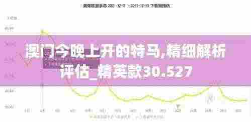 澳门今晚上开的特马,精细解析评估_精英款30.527